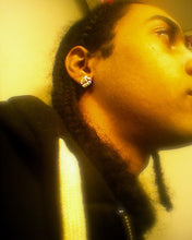 Load image into Gallery viewer, Stardog earrings
